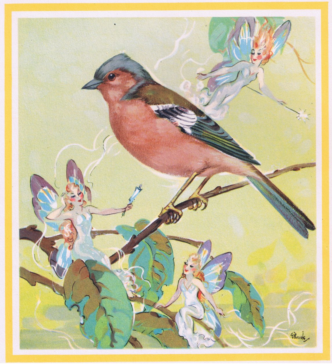 Vink door G. Brooks