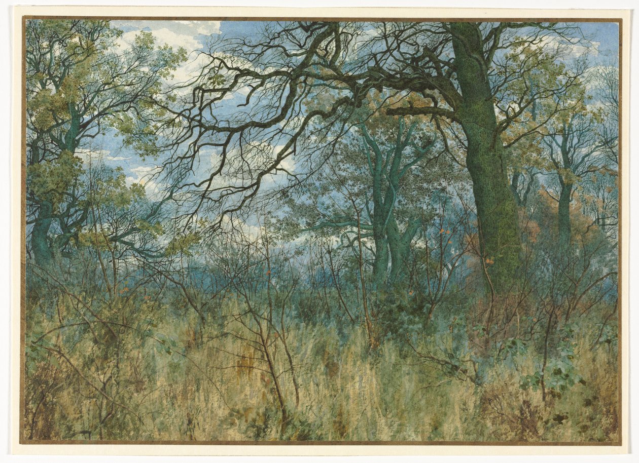 Bomen en Onderhout door Garden William Fraser