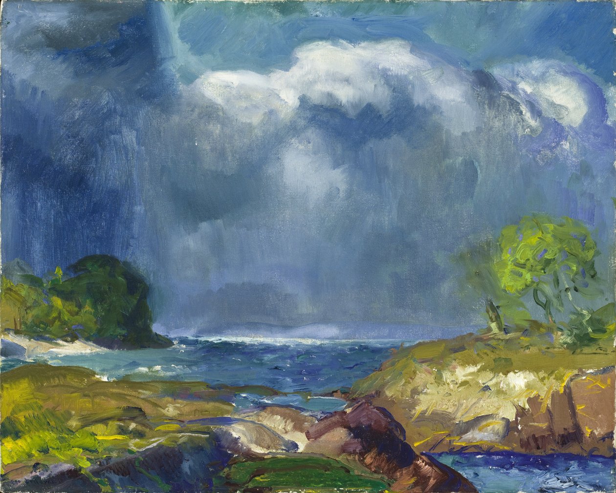 Storm op zee door George Wesley Bellows