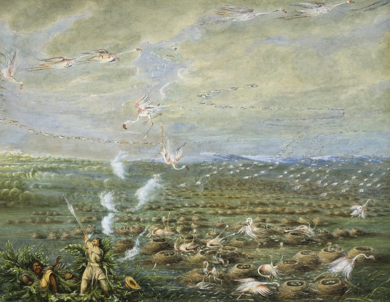 Flamingojacht in Zuid-Amerika door George Catlin