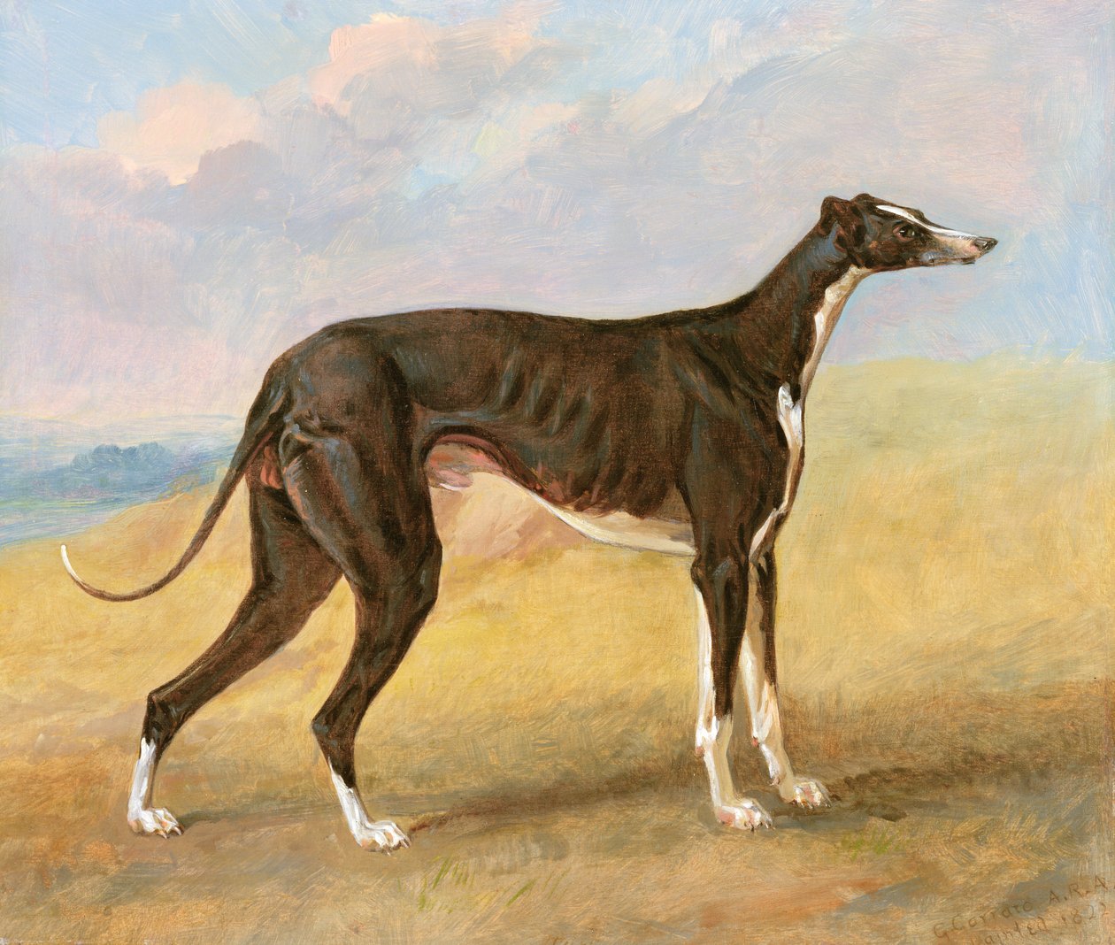 Een van George Lane Fox