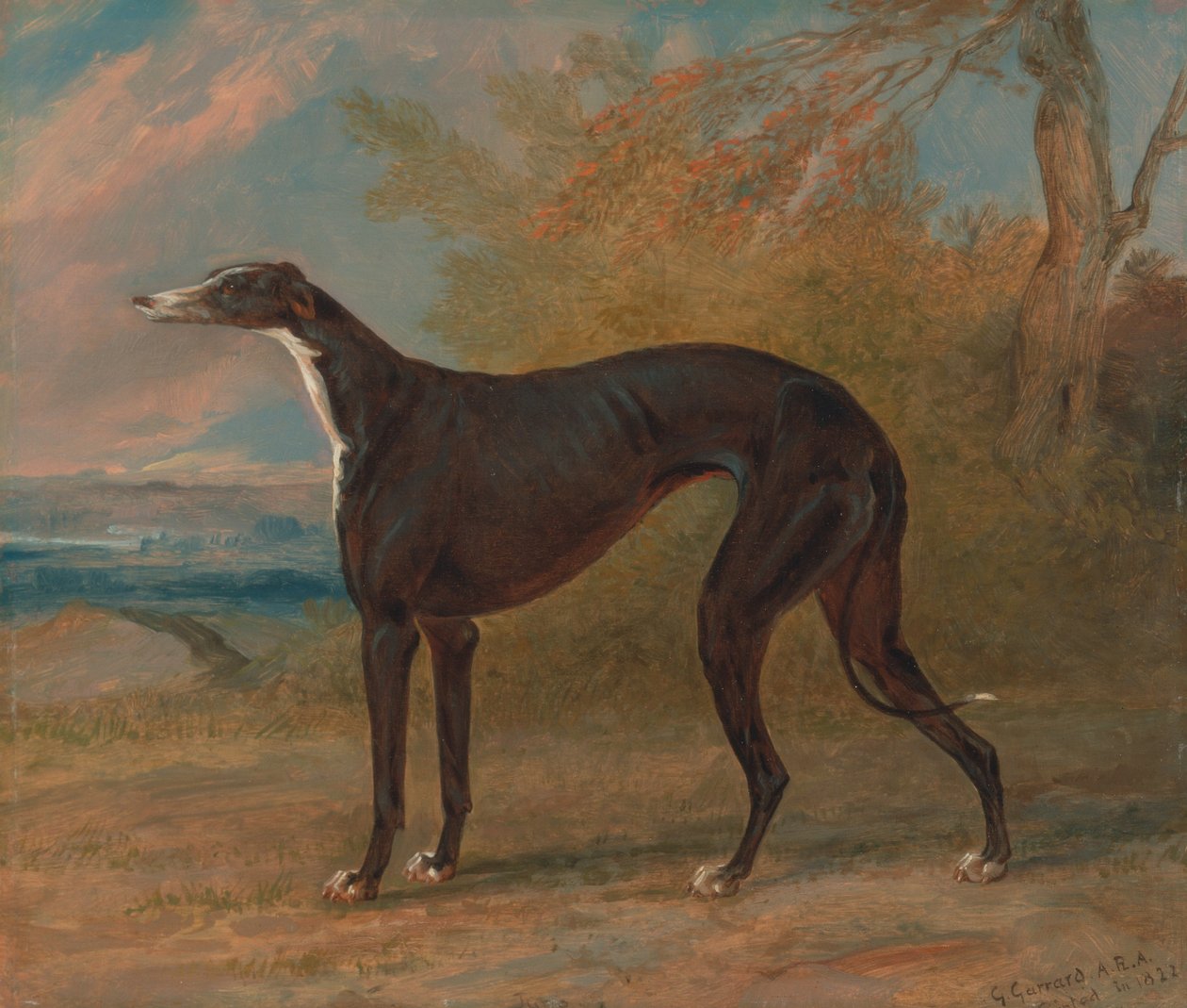 Een van George Lane Fox