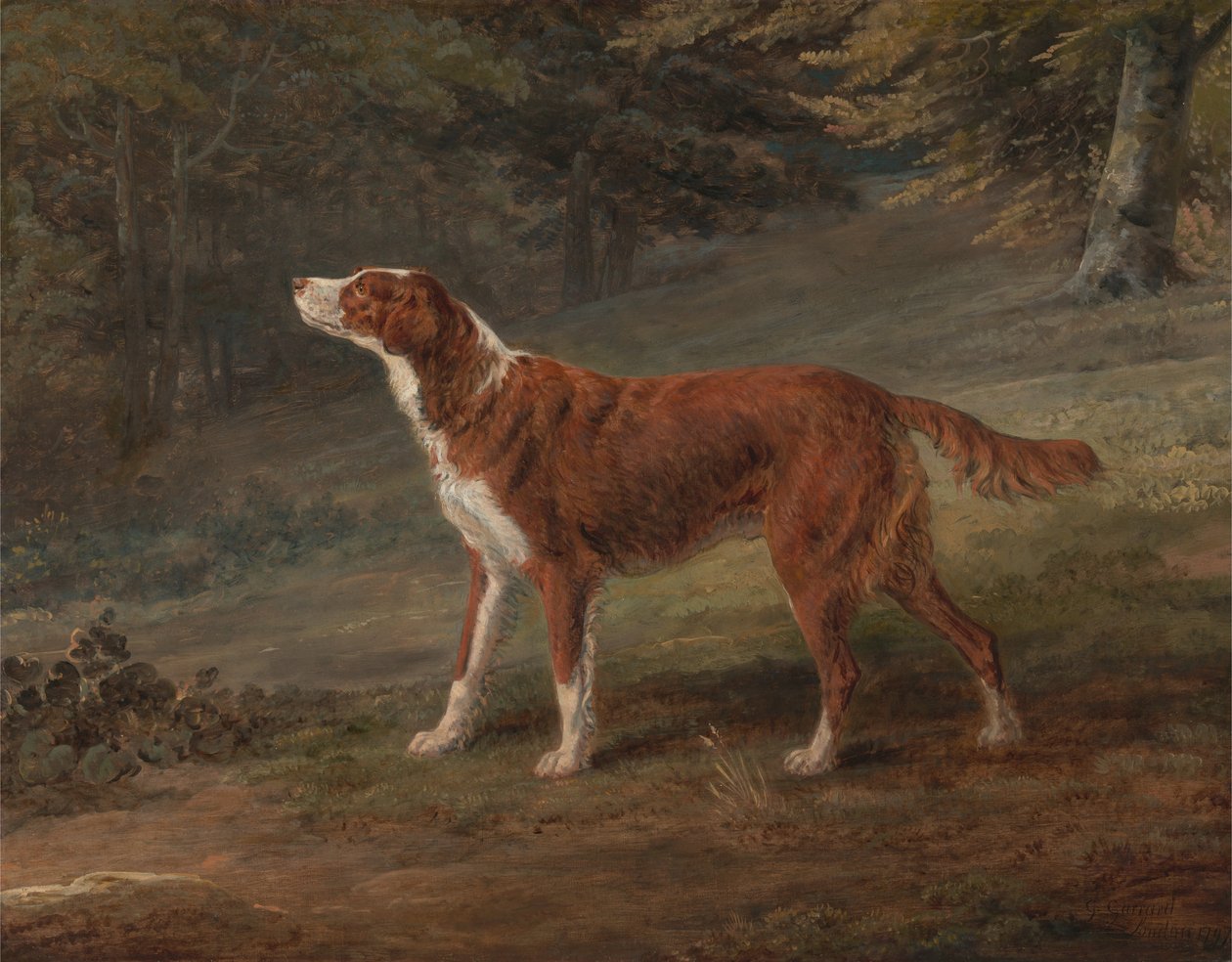 Ranger door George Garrard