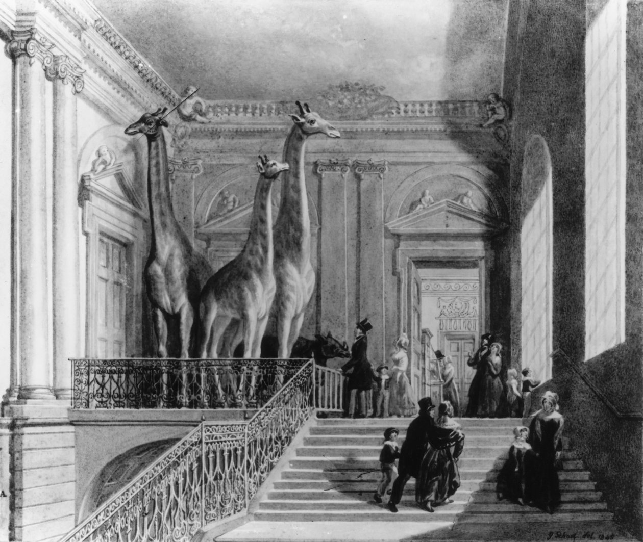 Giraffen op de trap in het British Museum, 1845 (pen und inkt en wc op papier) door George Snr Scharf