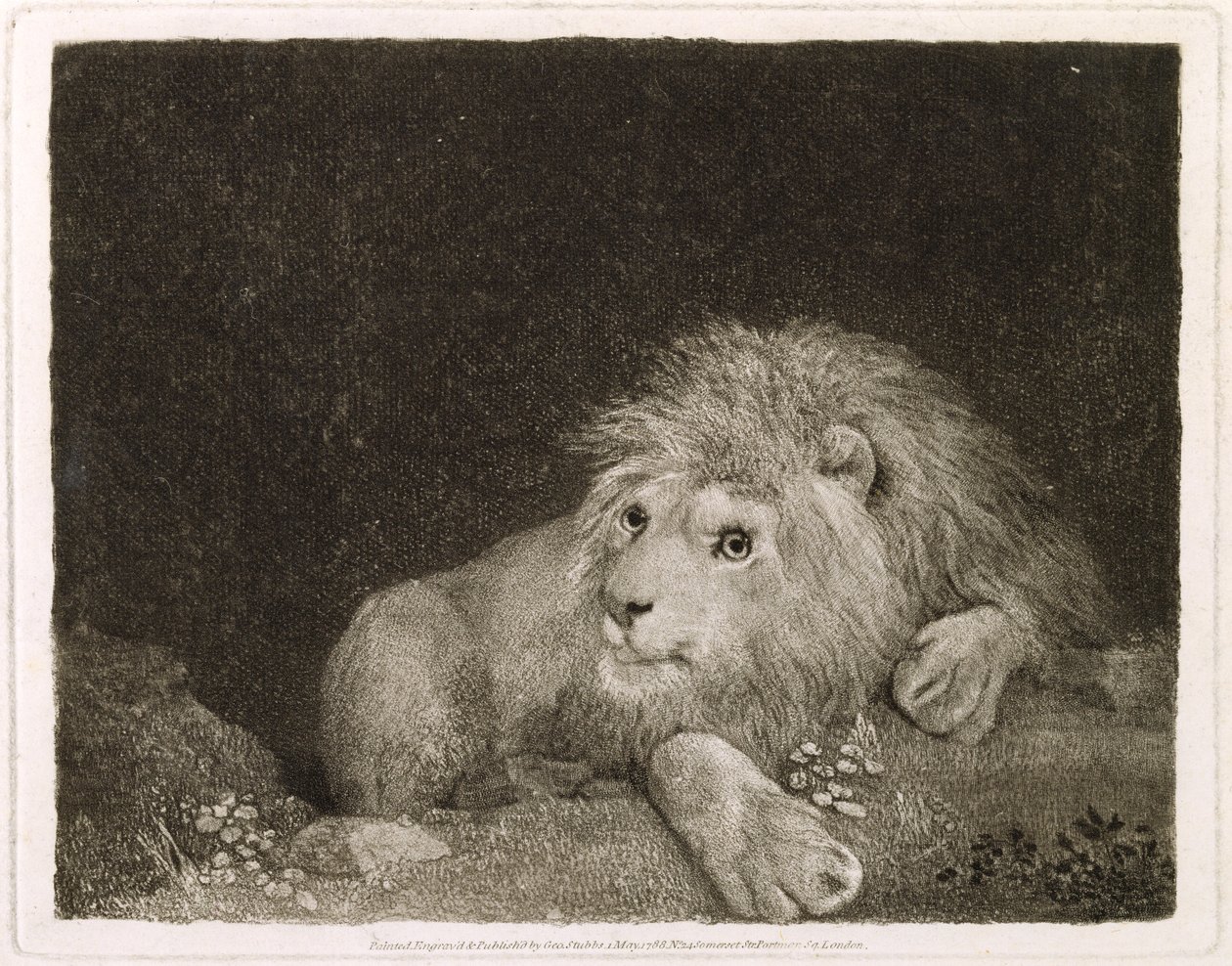 Een leeuw (Een liggende leeuw) gegraveerd door de kunstenaar, pub. 1788 door George Stubbs