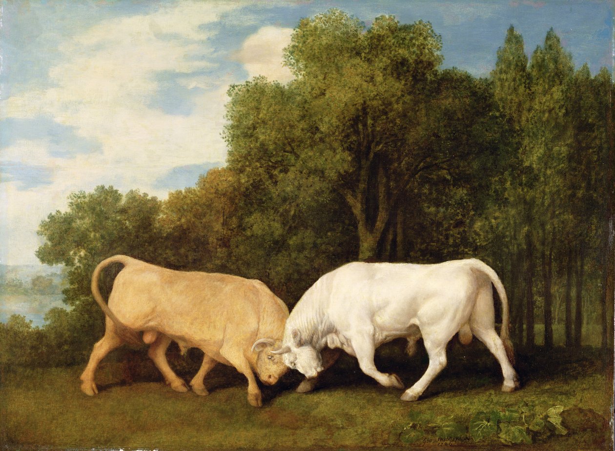 Vechtende stieren, 1786 door George Stubbs