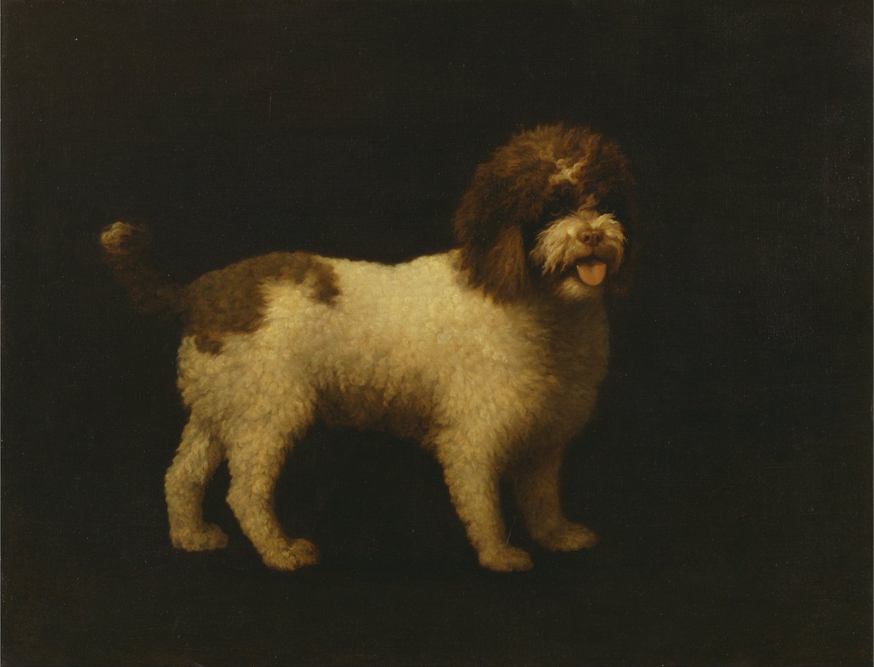 Water Spaniël door George Stubbs