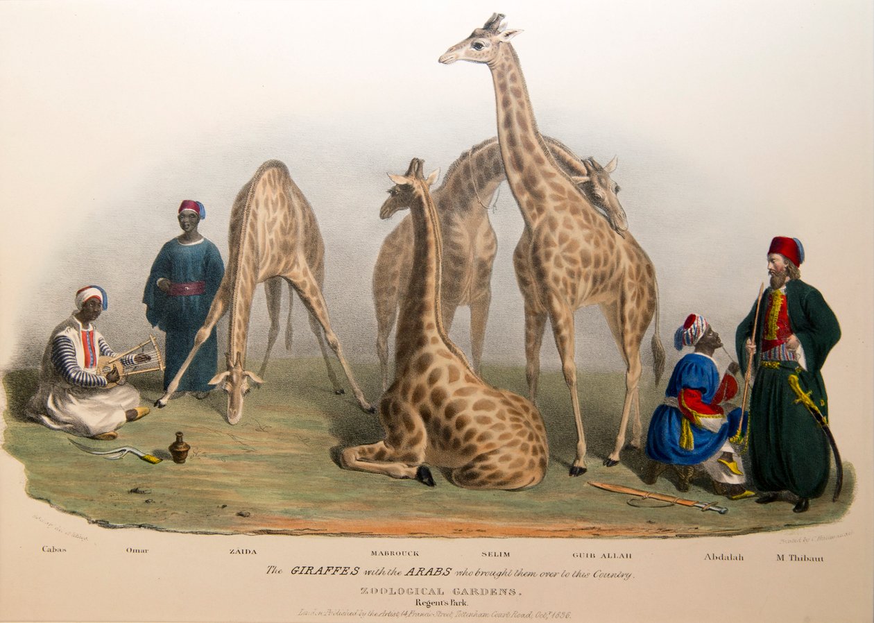 De giraffen met de Arabieren, 1836 door George the Elder Scharf