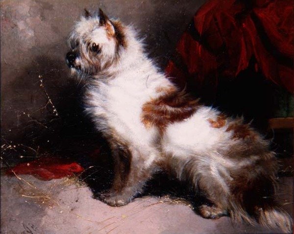 Wachten op de meester door George Armfield