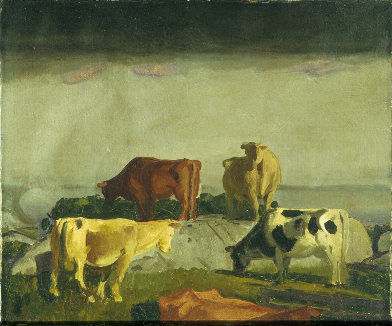 De rode wijnstok, Matinicus-eiland, Maine door George Bellows