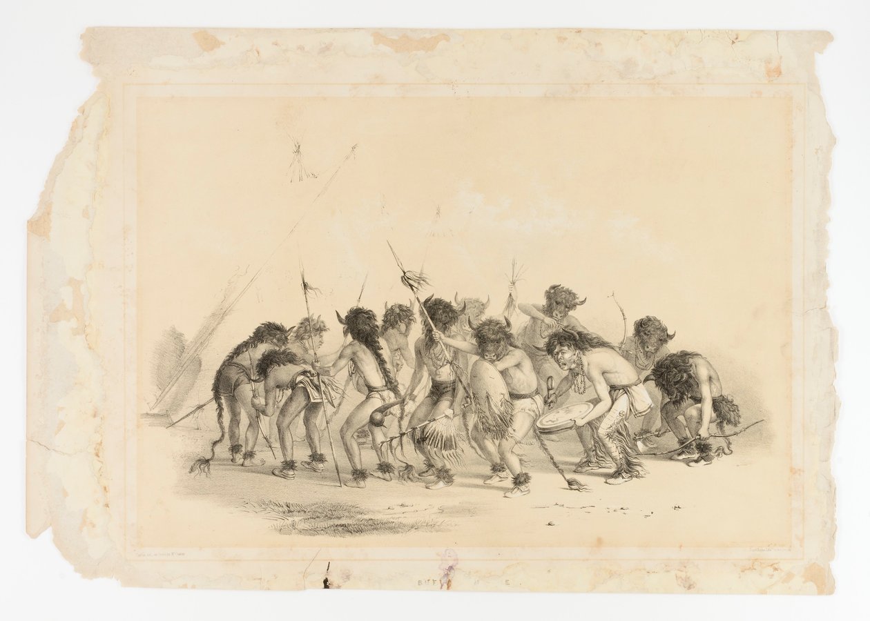 Buffeldans nr.8 door George Catlin