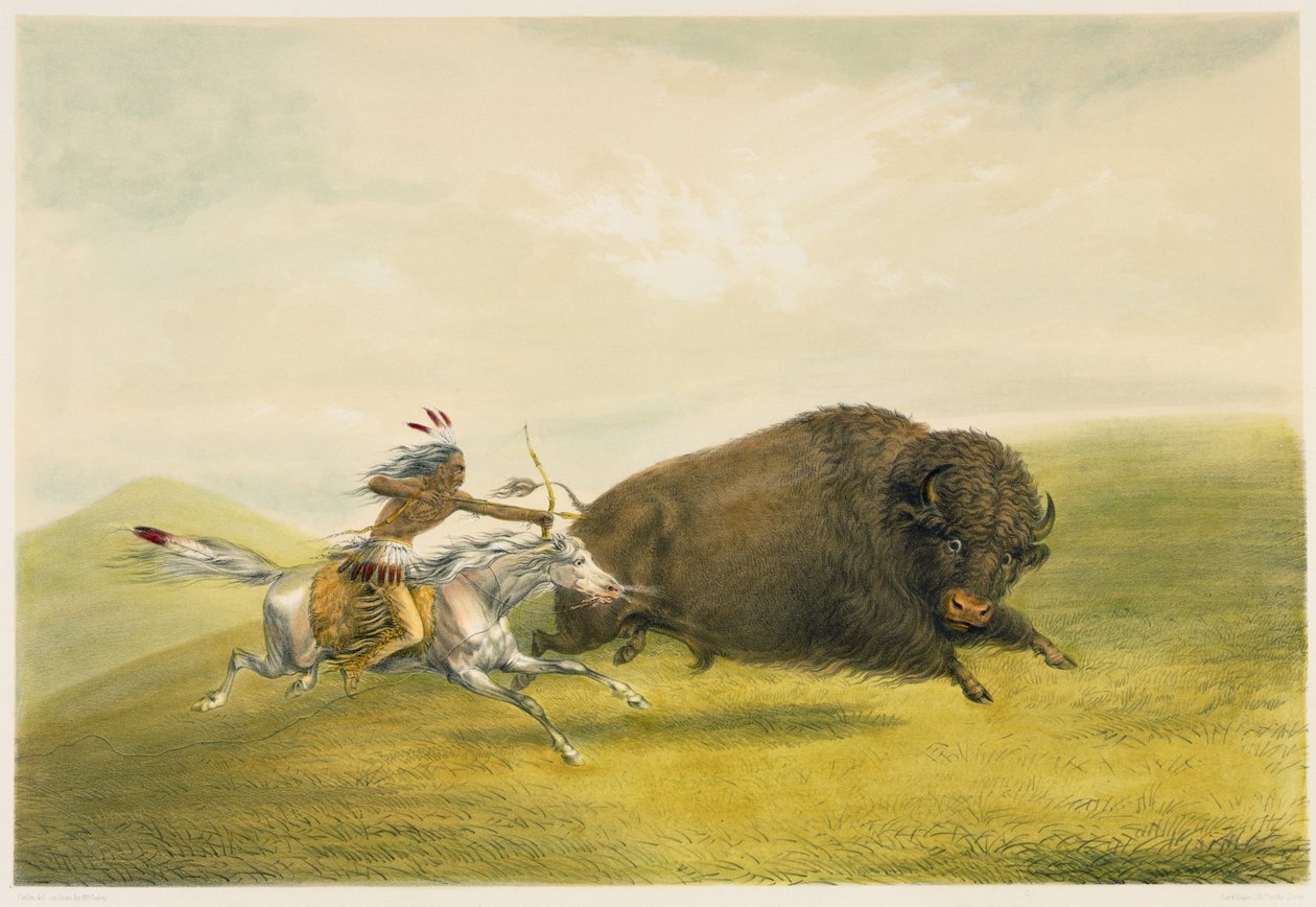 Buffalo Hunt Chase (kleurenlitho) door George Catlin