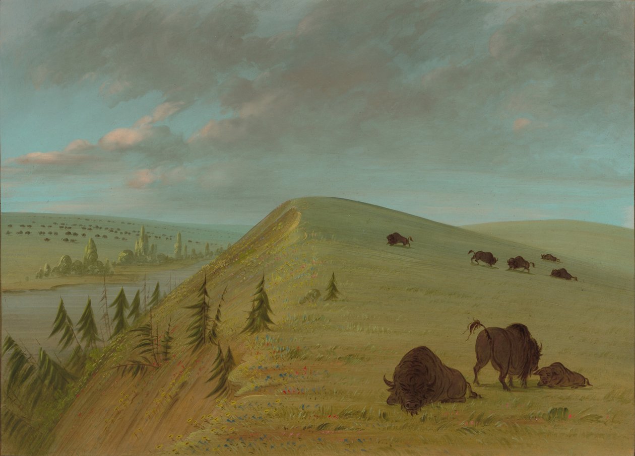 Cedar Bluffs, 1861-1869 door George Catlin