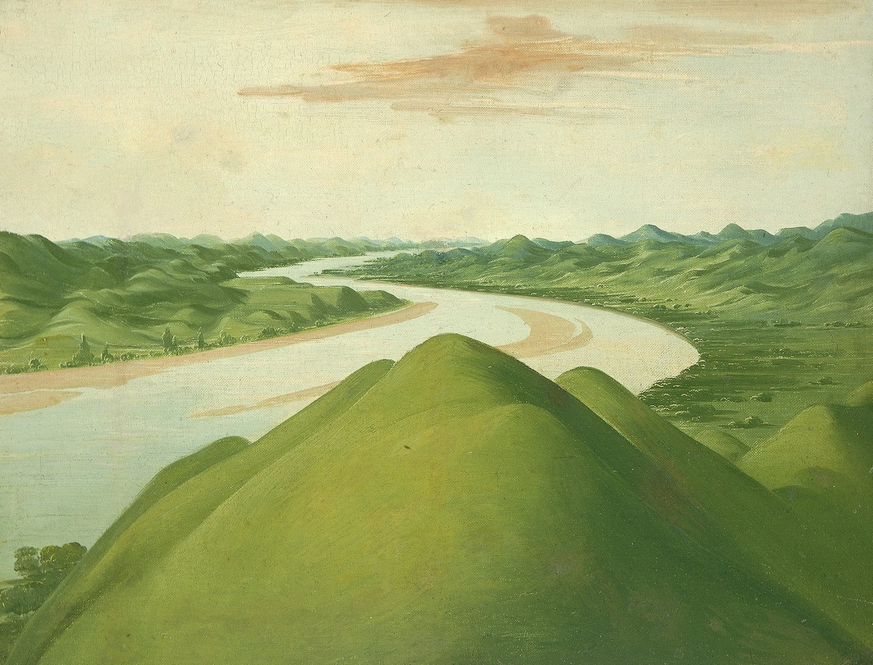 Uitzicht in de "Cross Timbers," Texas door George Catlin
