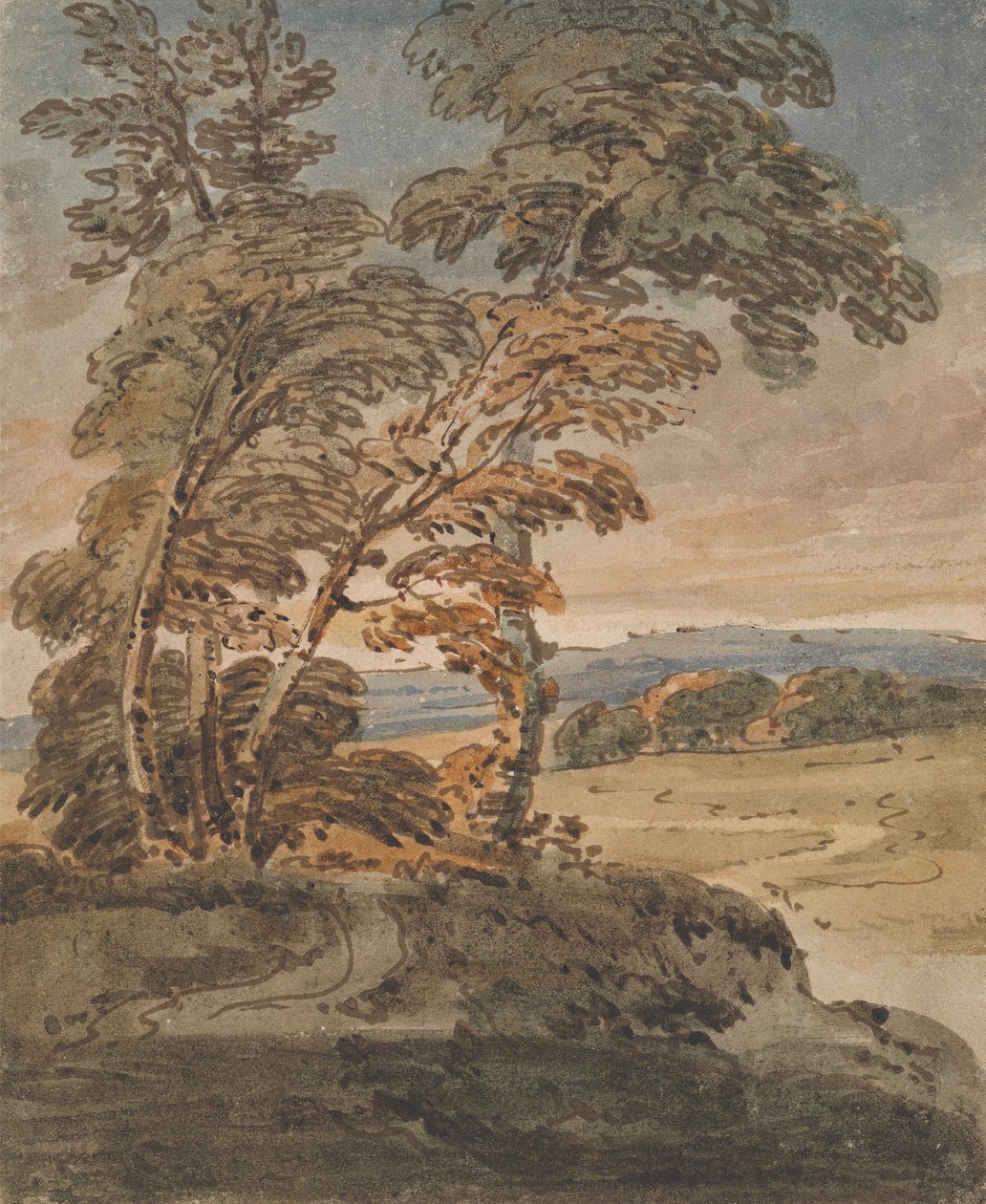 Bomen op een heuvelpad door George Chinnery