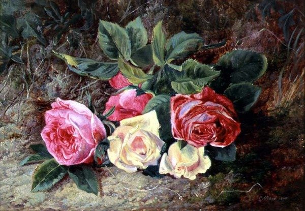 Rozen, 1865 door George Clare