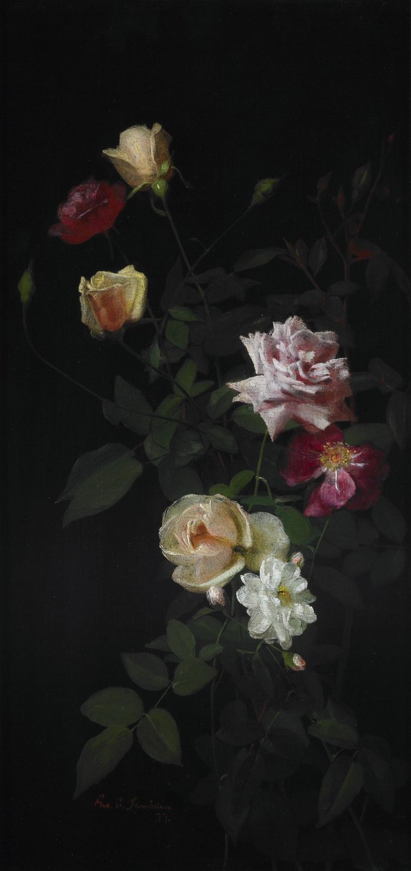 Stilleven door George Cochran Lambdin