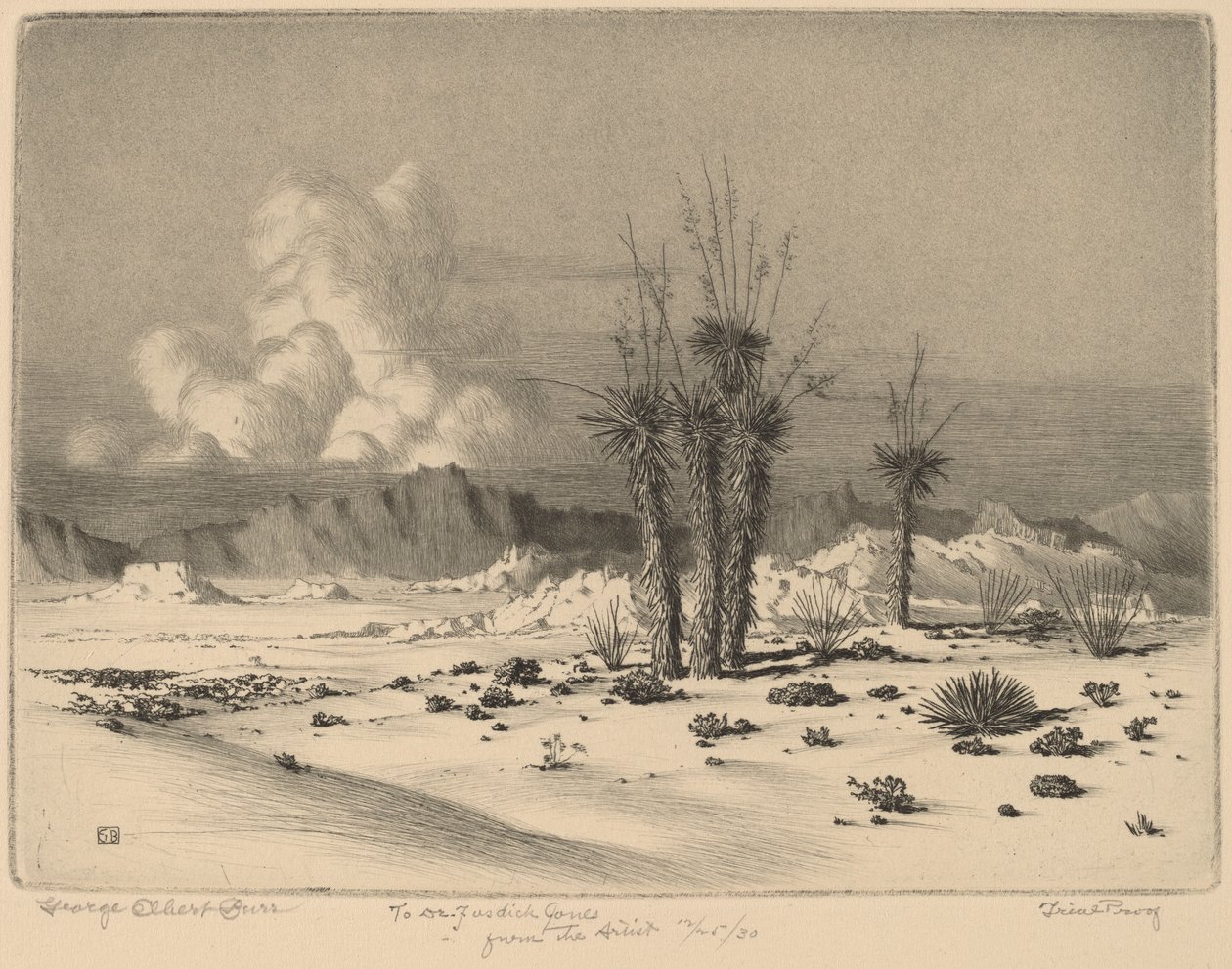 Avond, Arizona door George Elbert Burr