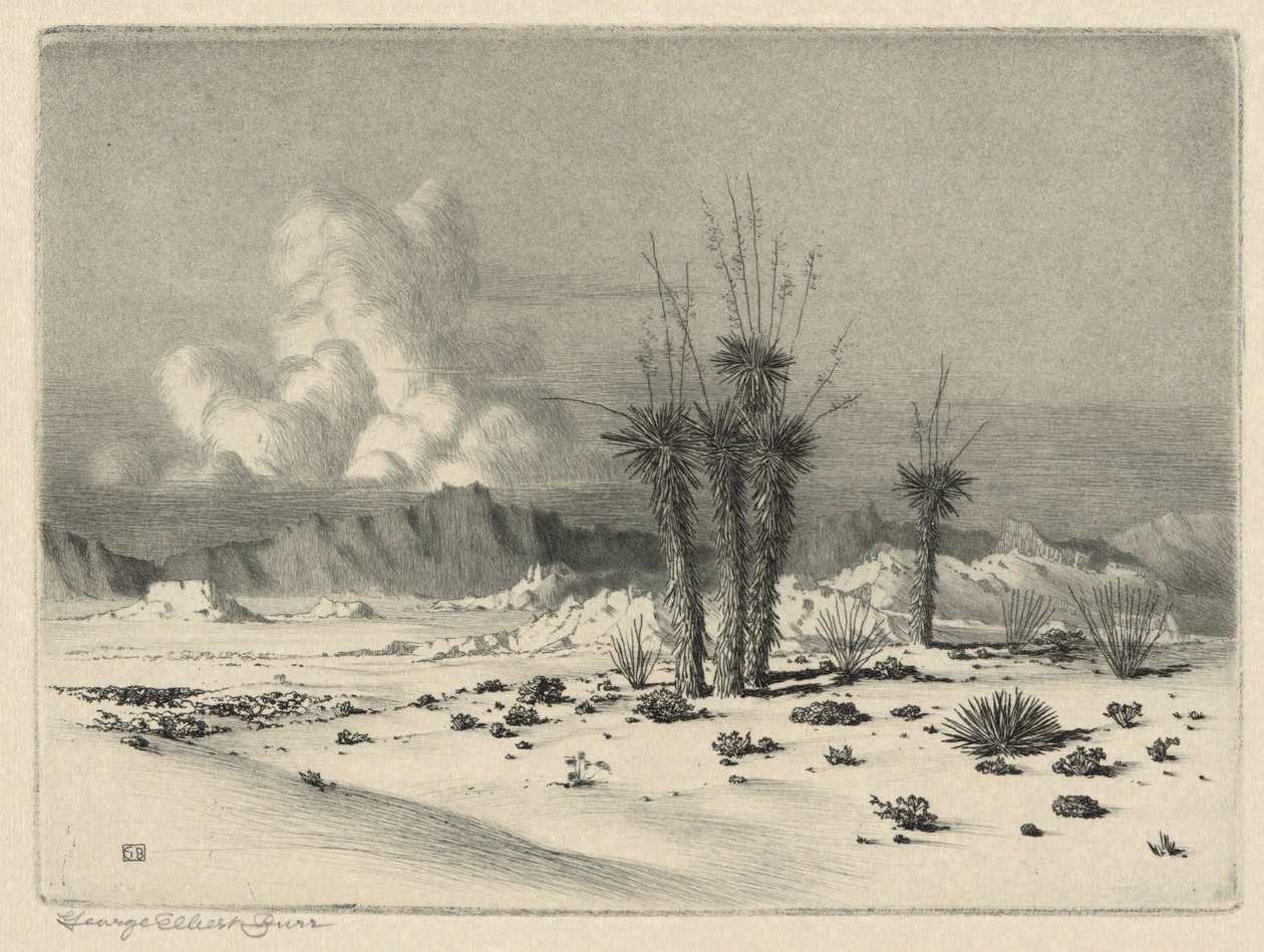 Avond, Arizona door George Elbert Burr