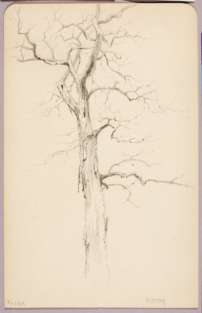 Hickory door George Elbert Burr