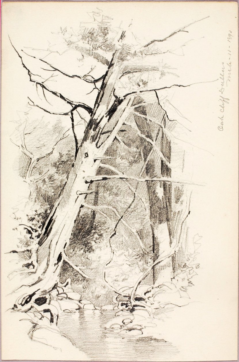 Oak Cliff, Dallas door George Elbert Burr