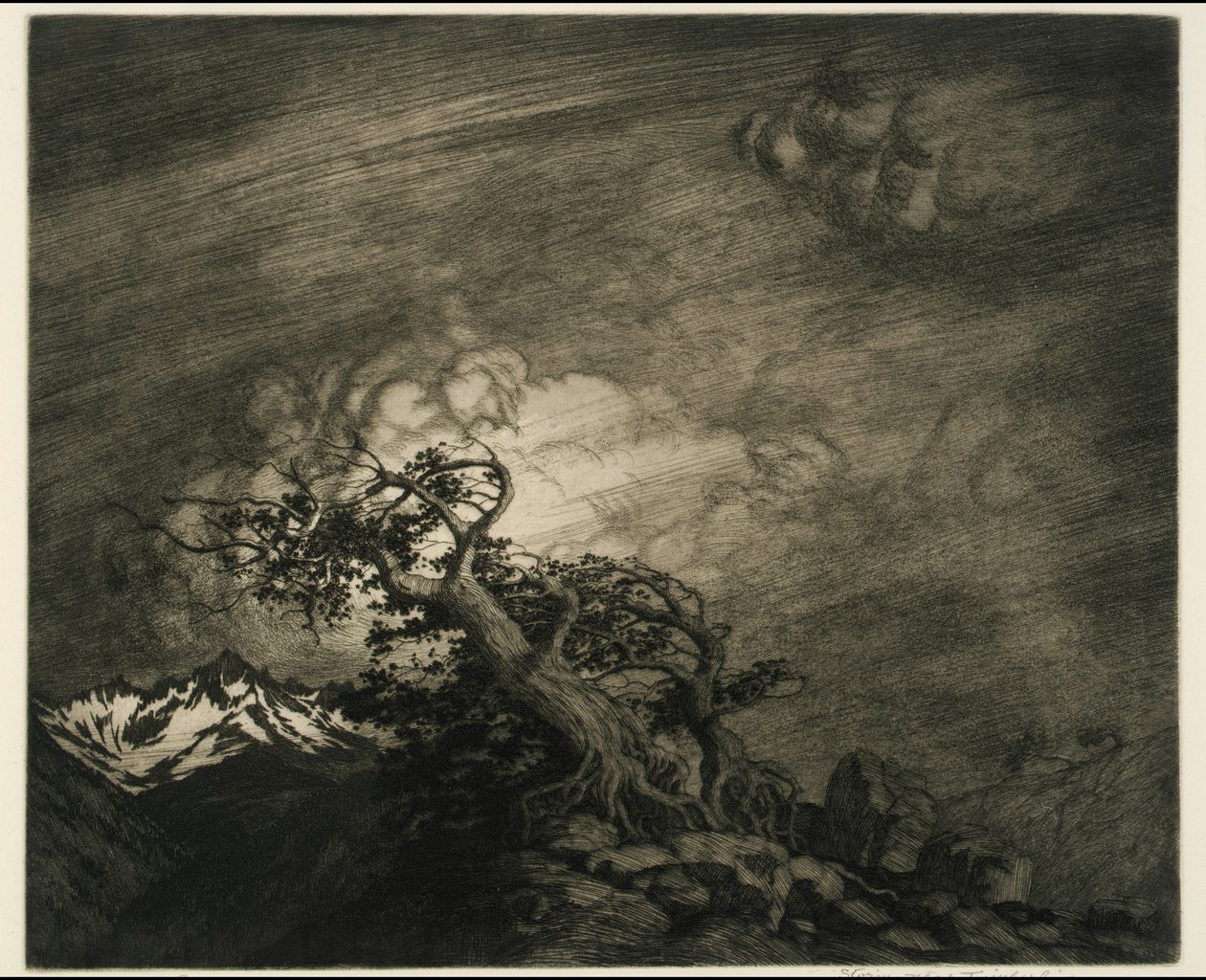 Storm dichtbij Timberline door George Elbert Burr