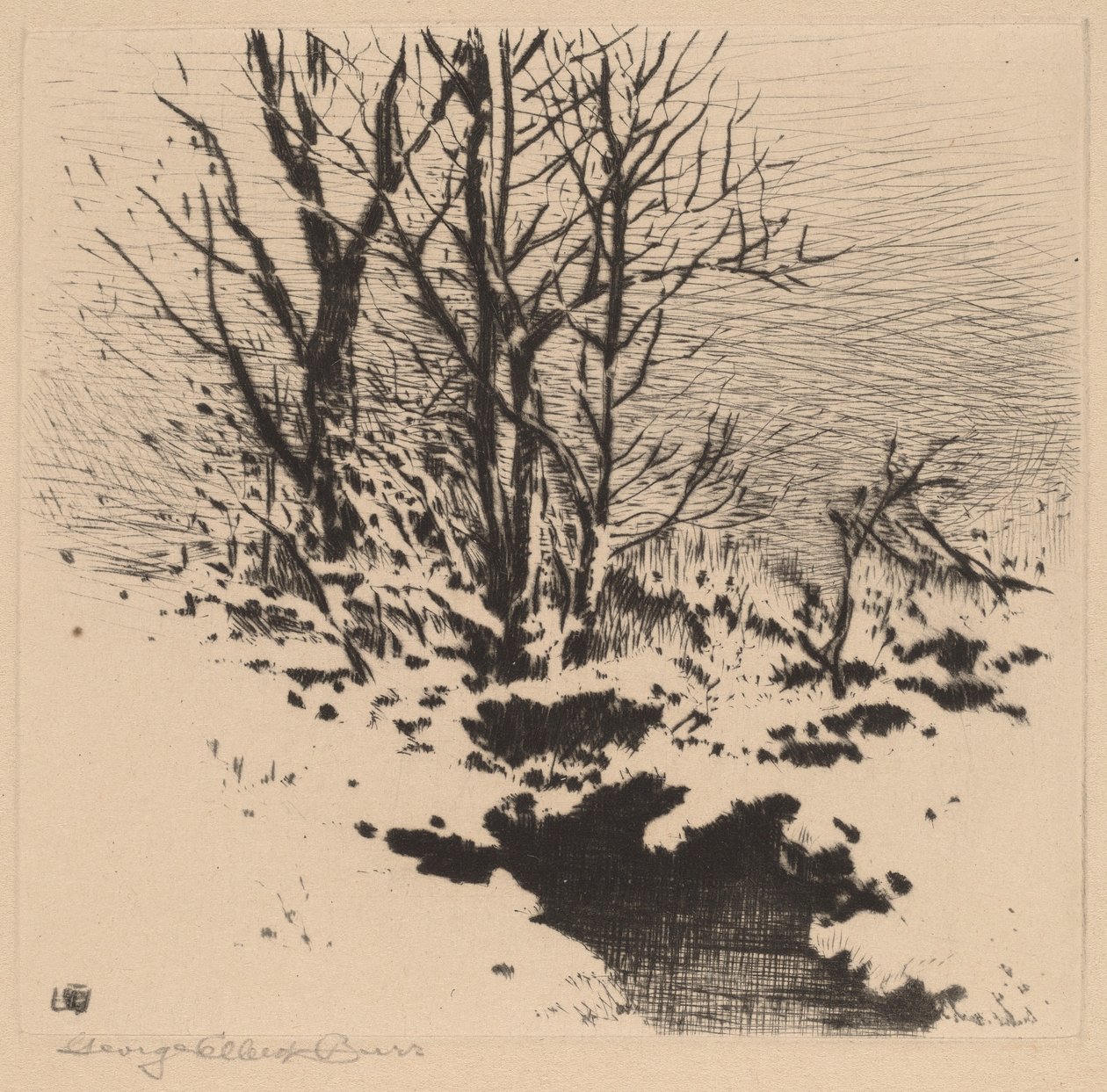 De Eerste Sneeuw (nr.2) door George Elbert Burr
