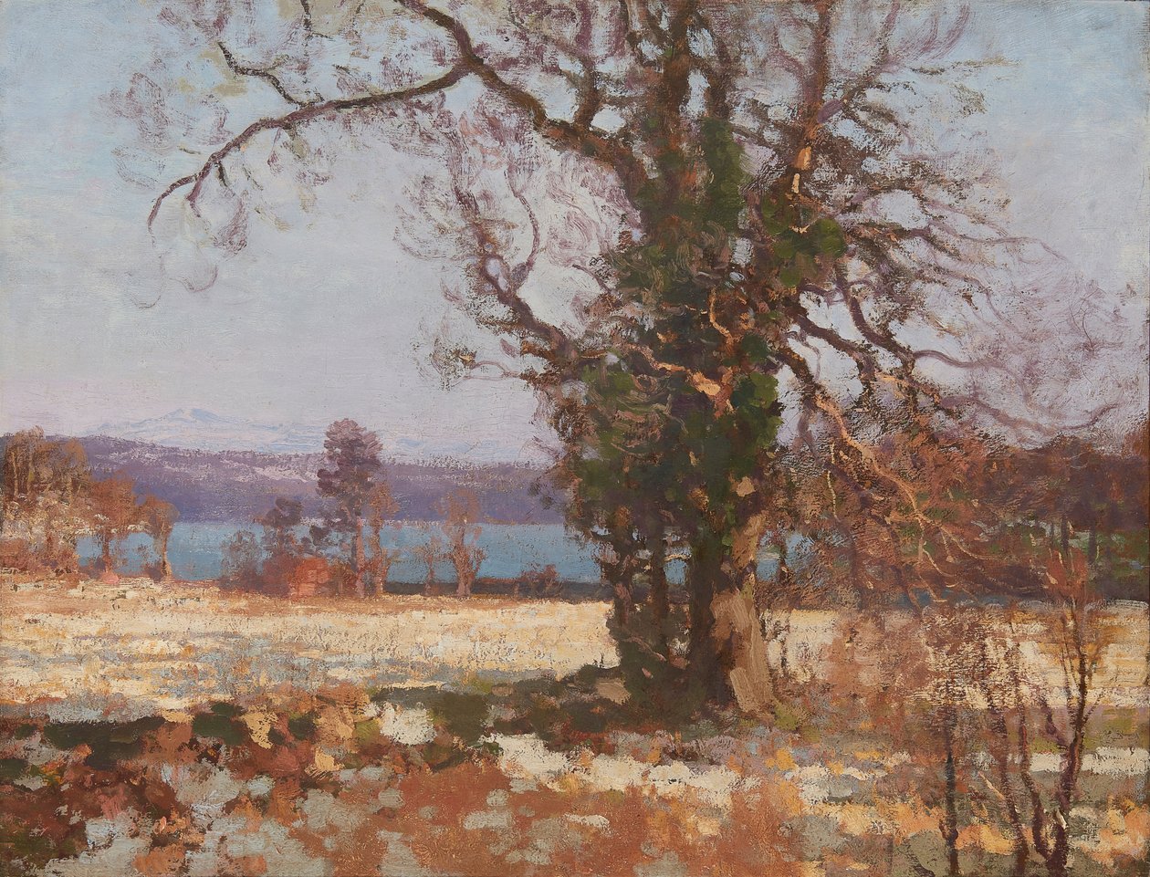 Winterzon door George Houston