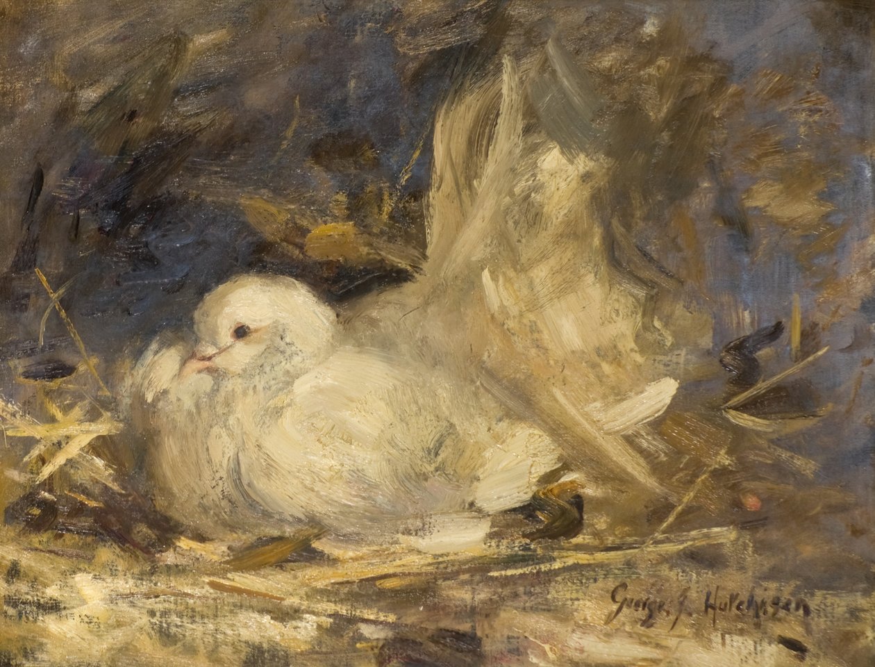 De Broedende Duif door George Jackson Hutchison