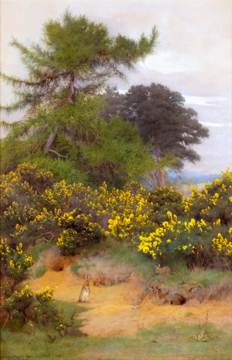 Aan de rand van Shere Heath door George Marks