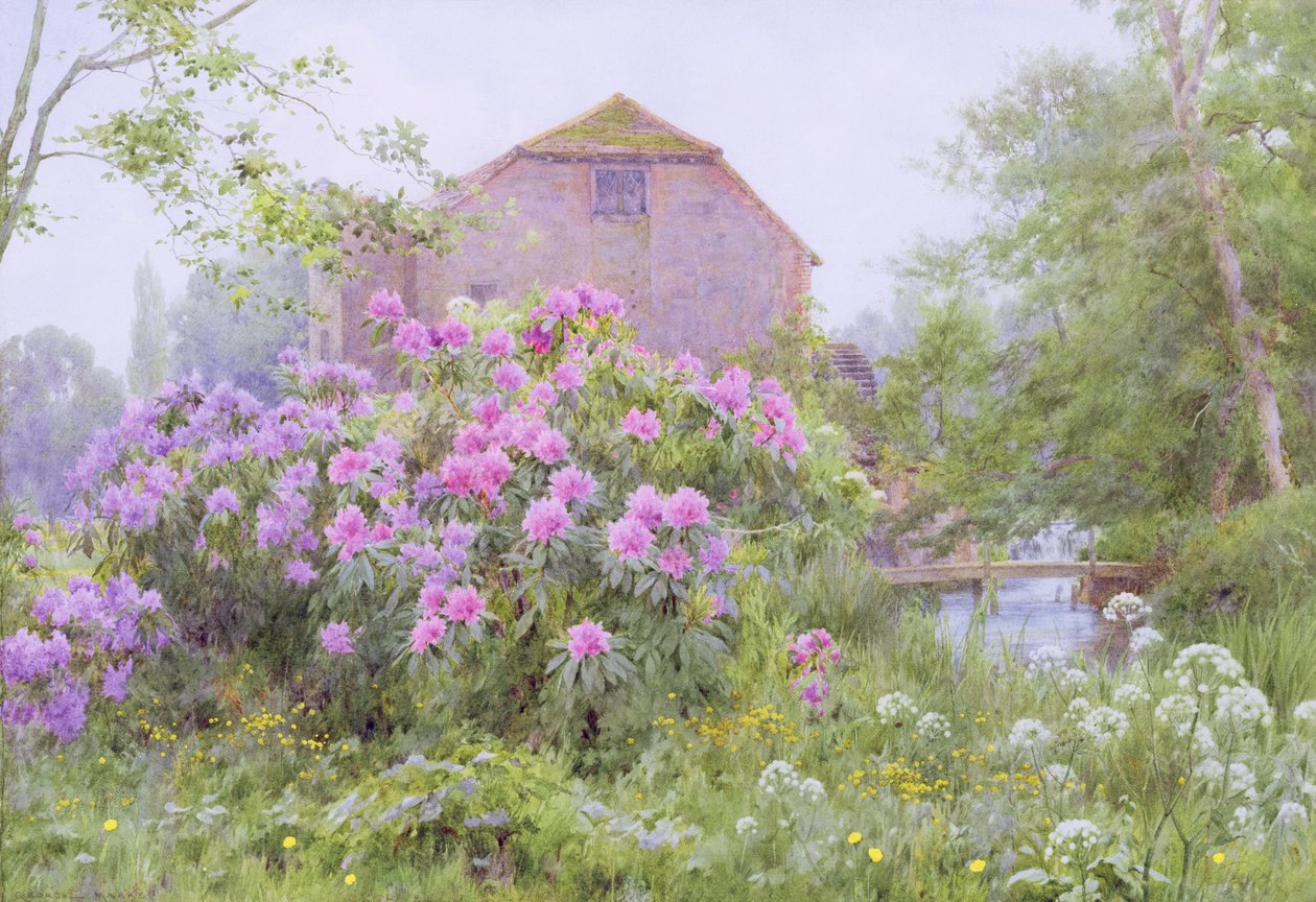 Rhododendrons bij een watermolen door George Marks