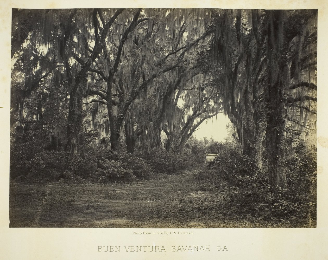 Buen-Ventura Savannah, Ga. door George N. Barnard