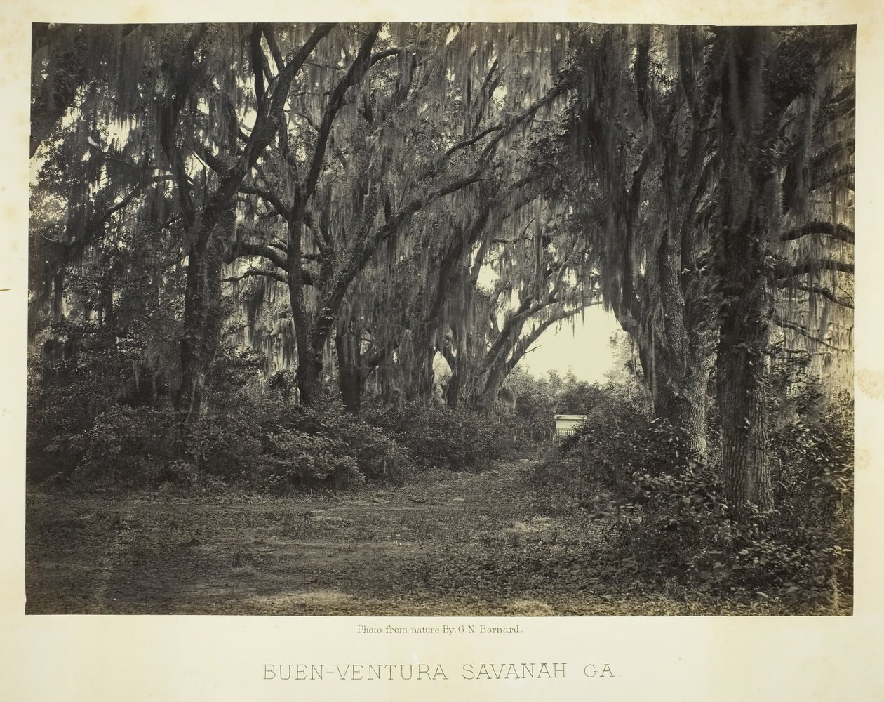 Buen-Ventura Savannah, Ga., 1866 door George N. Barnard