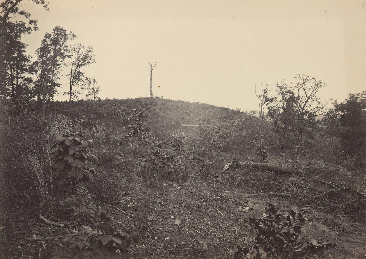 Pine Mountain, 1860s. door George N. Barnard
