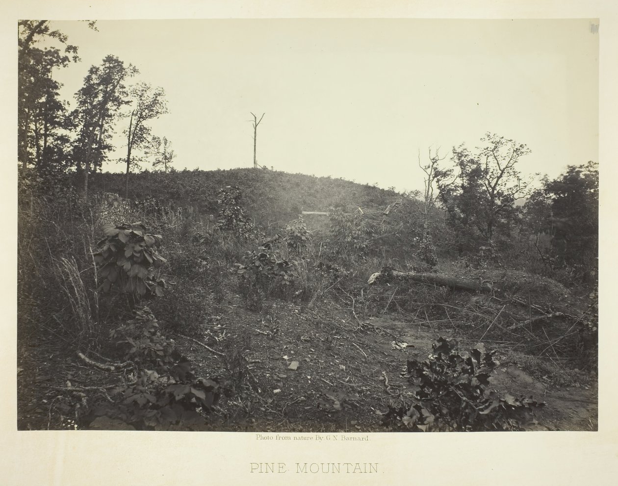 Pine Mountain, 1866 door George N. Barnard