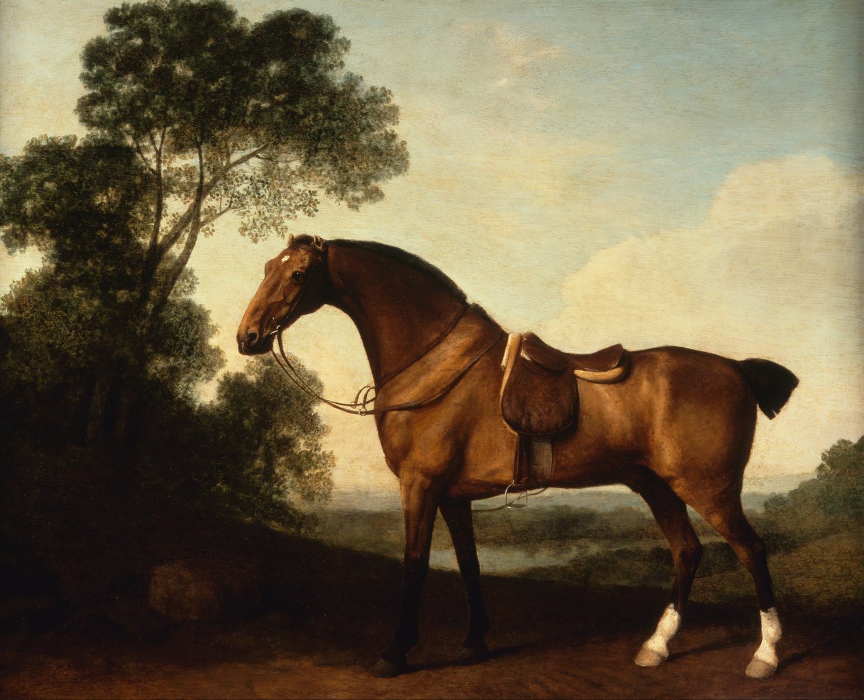 Een opgezadelde baai jager door George Stubbs