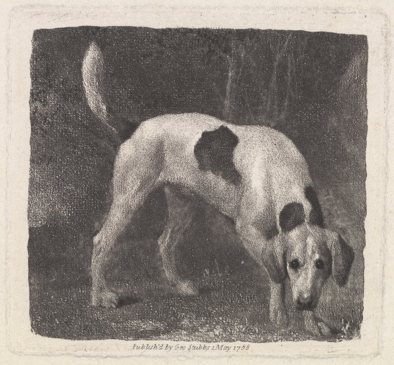 Hond [Een Vosshond op het Spoor] door George Stubbs