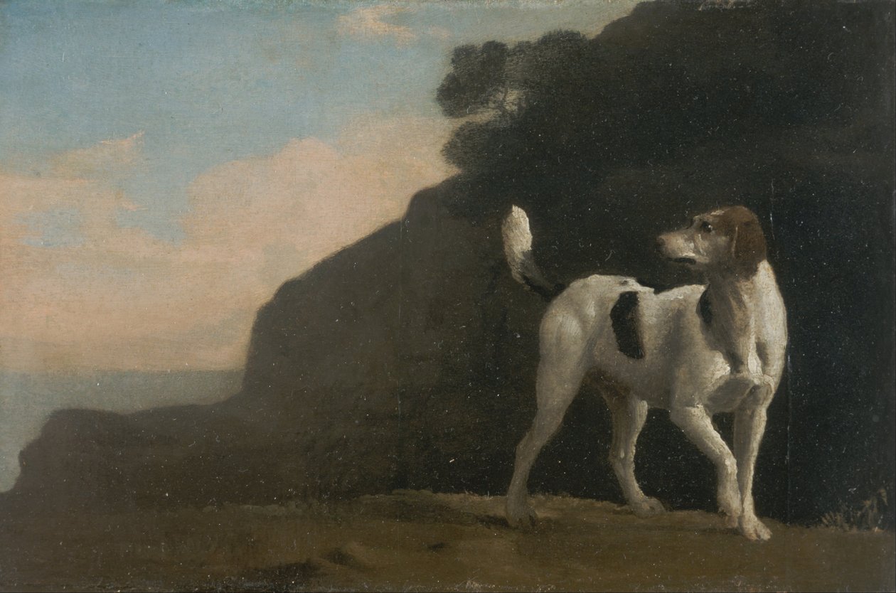 Windhond door George Stubbs