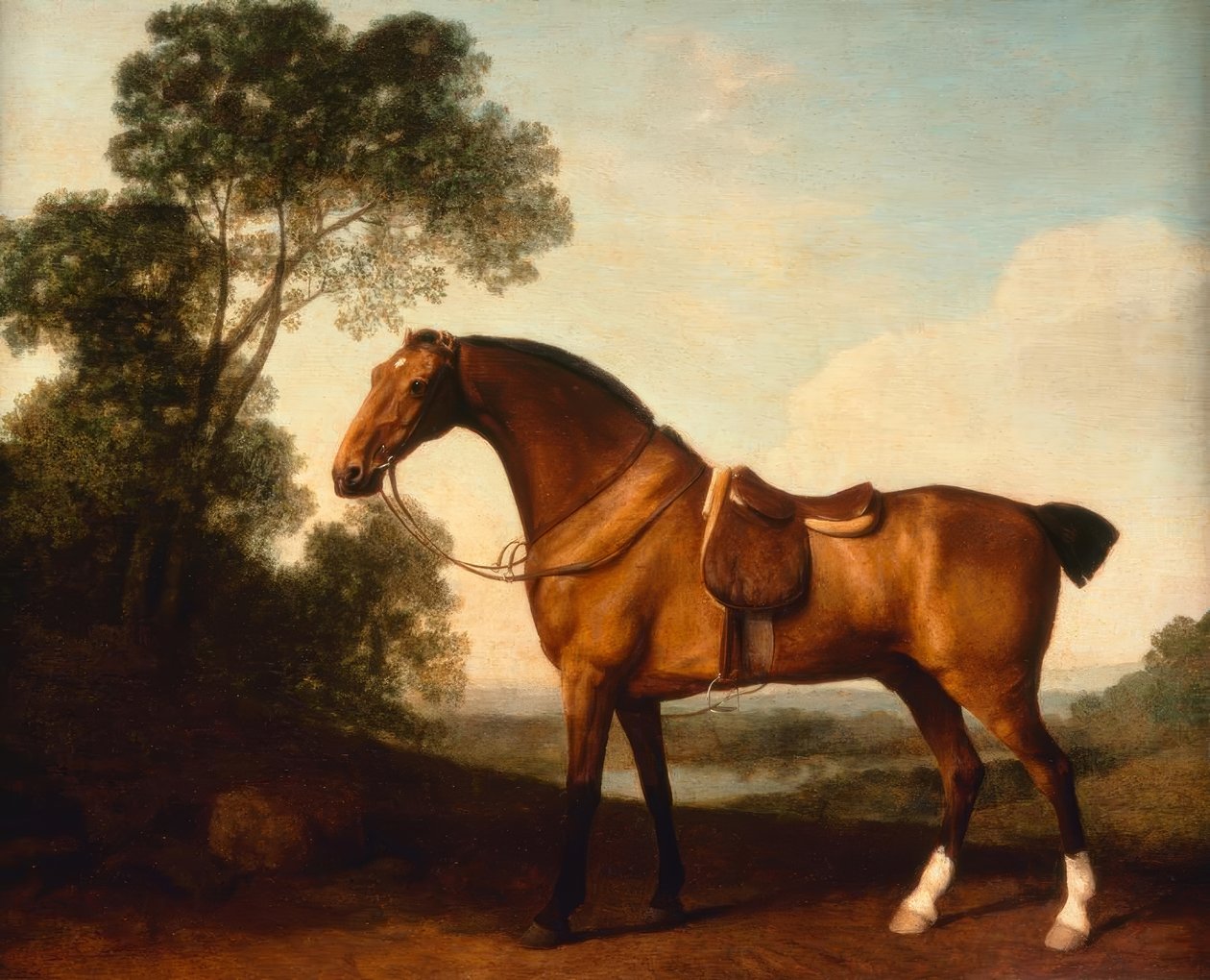 Een gezadelde Bay Hunter door George Stubbs