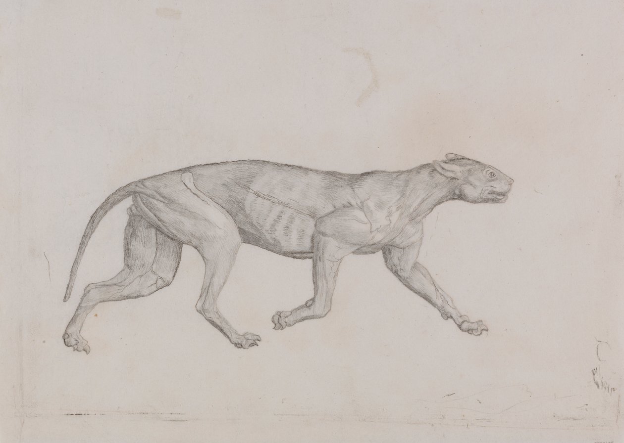 Luipaardlichaam, zijaanzicht door George Stubbs
