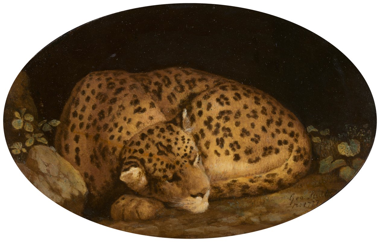 Slapende luipaard door George Stubbs