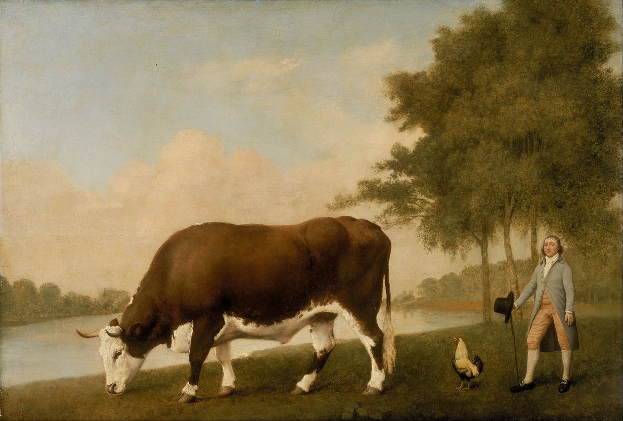De os uit Lincoln door George Stubbs
