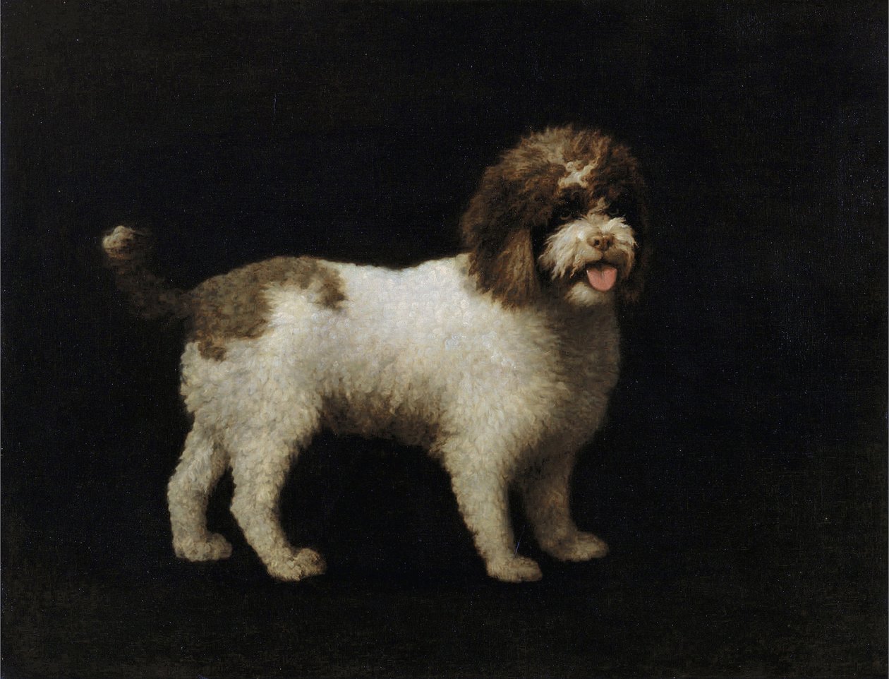 Water Spaniel door George Stubbs
