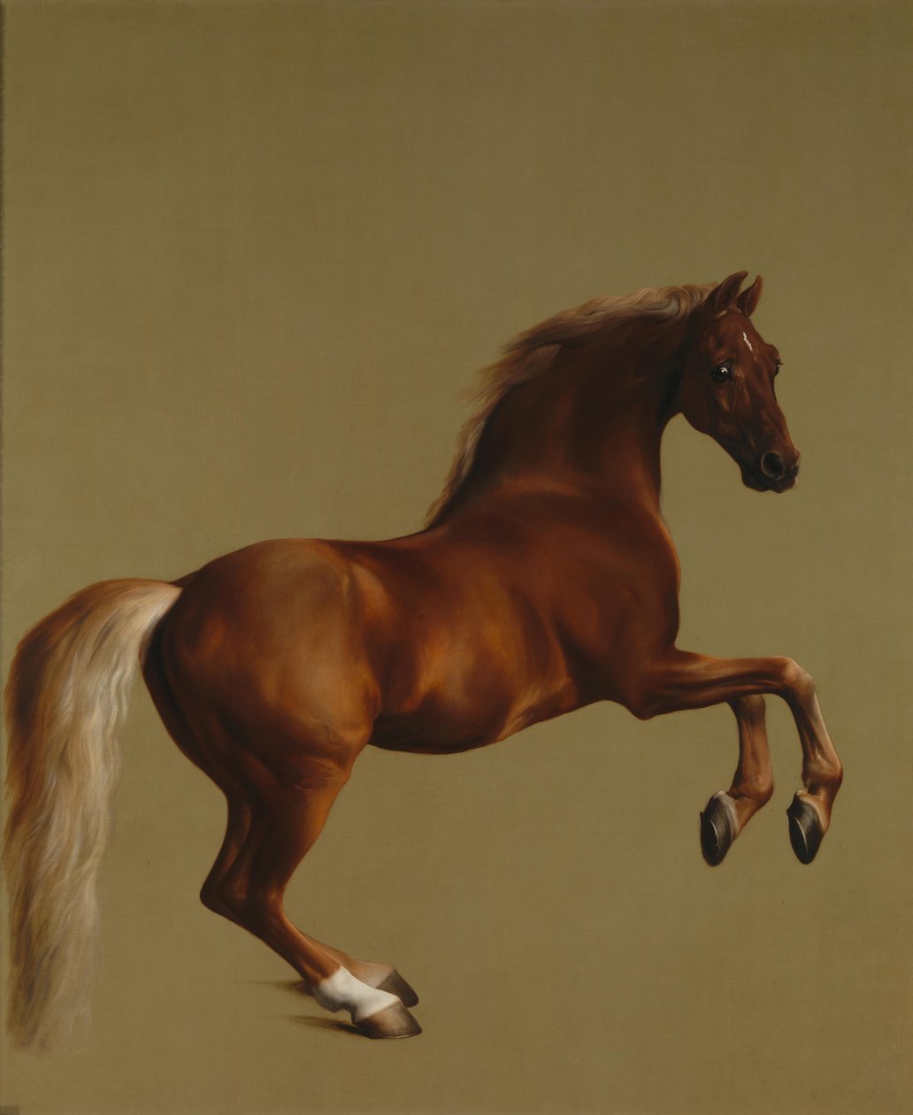 Whistlejacket door George Stubbs