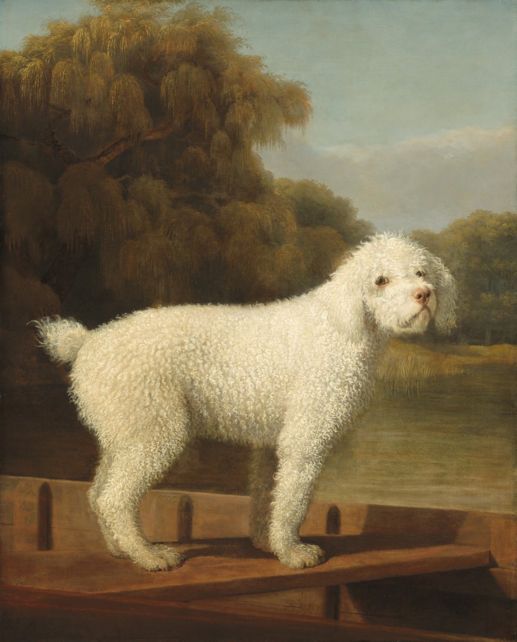 Witte Poedel in een Boot door George Stubbs