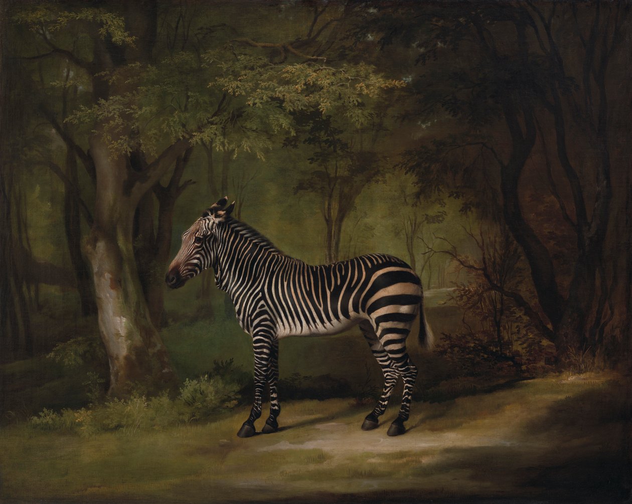 Zebra door George Stubbs