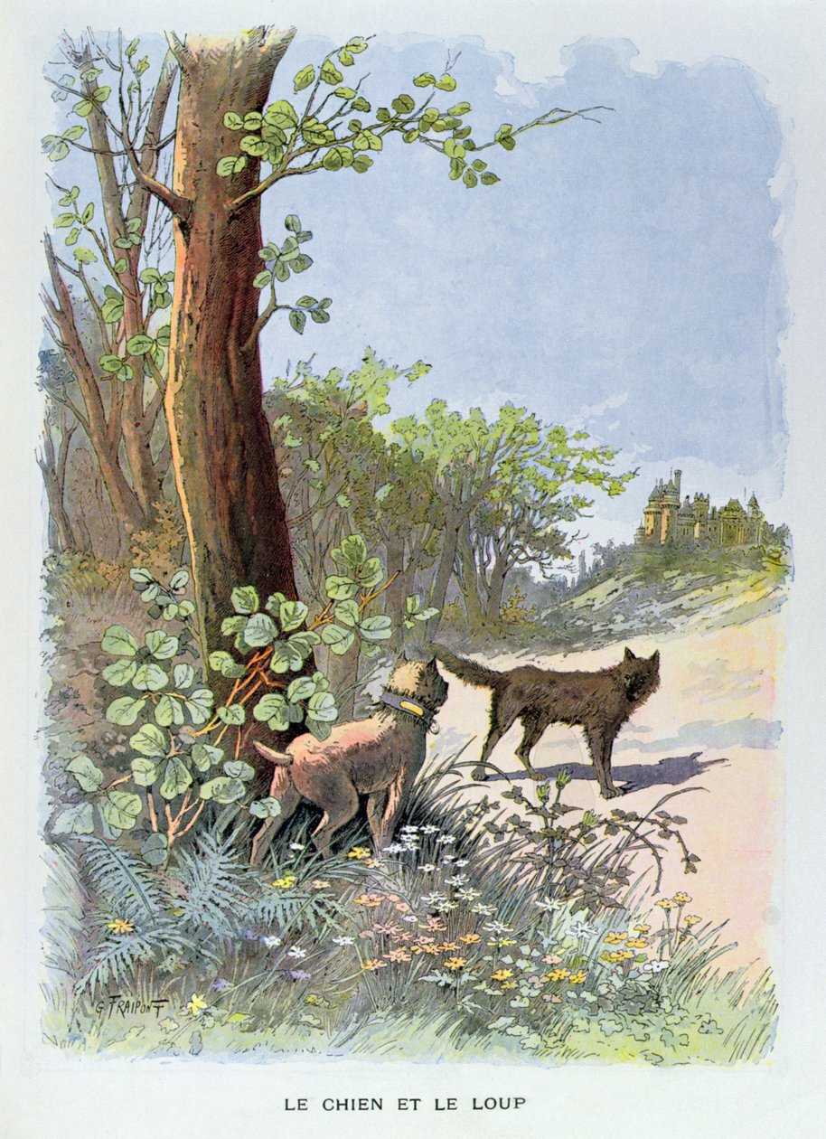De hond en de wolf, uit 