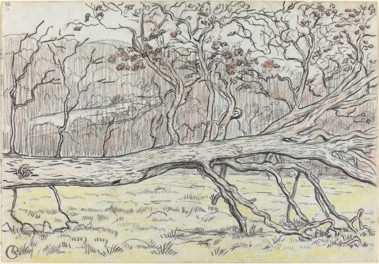 Gevelde boom, Normandië door Georges Lacombe