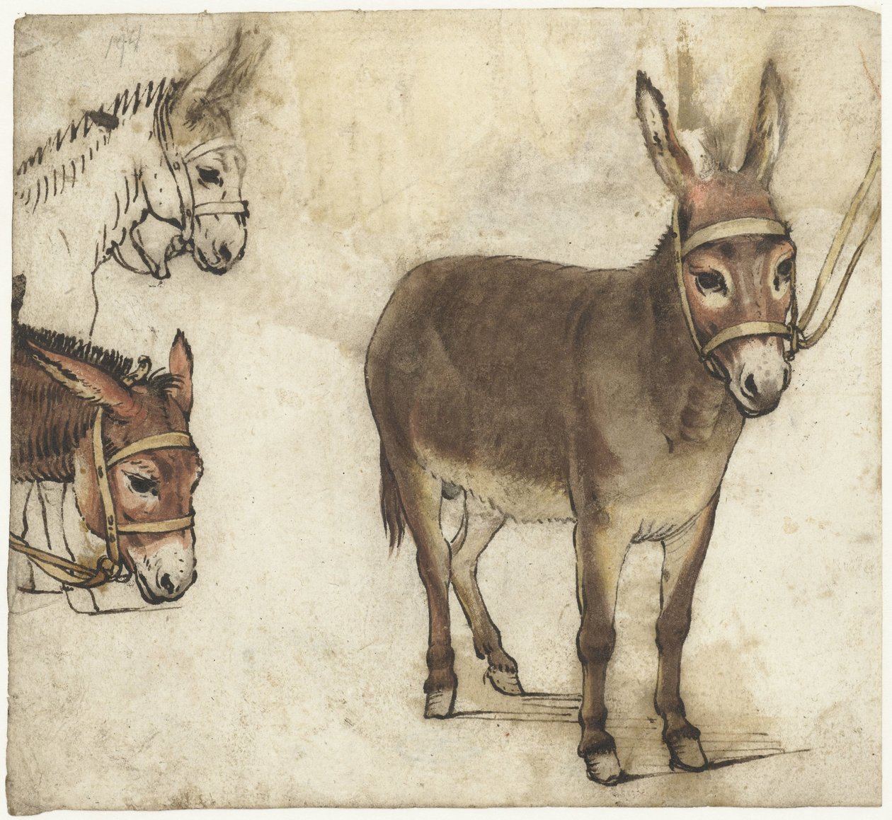 Studieblad met ezels door Gerard ter Borch (I)