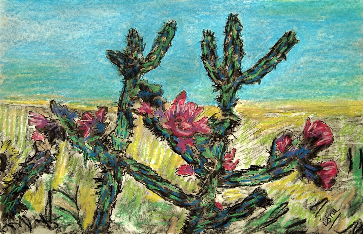 Cholla in bloei, 2017 (tekening op papier) door Gerhardt Isringhaus